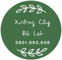 Xưởng Cây Đà Lạt